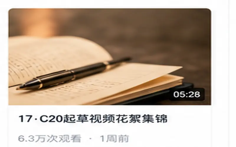17·C20视频花絮与资料整理封面